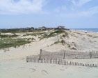 sandbridge dune